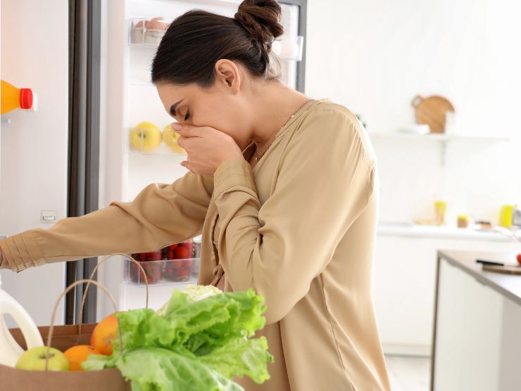 donna nauseata dalla puzza che esce dal frigo