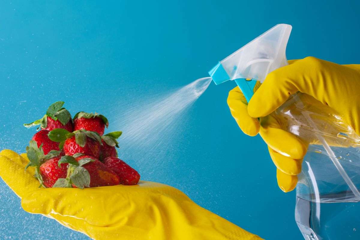 spray che viene spruzzato sulle fragole