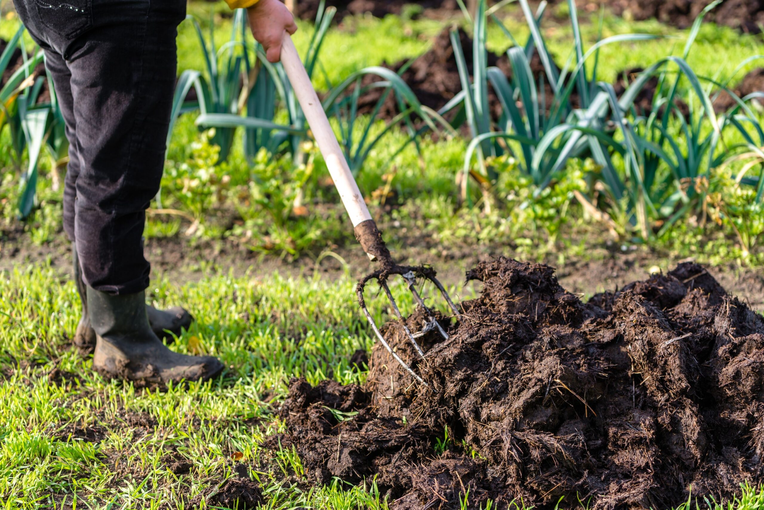 Giardino Balurgar di fertilizzante