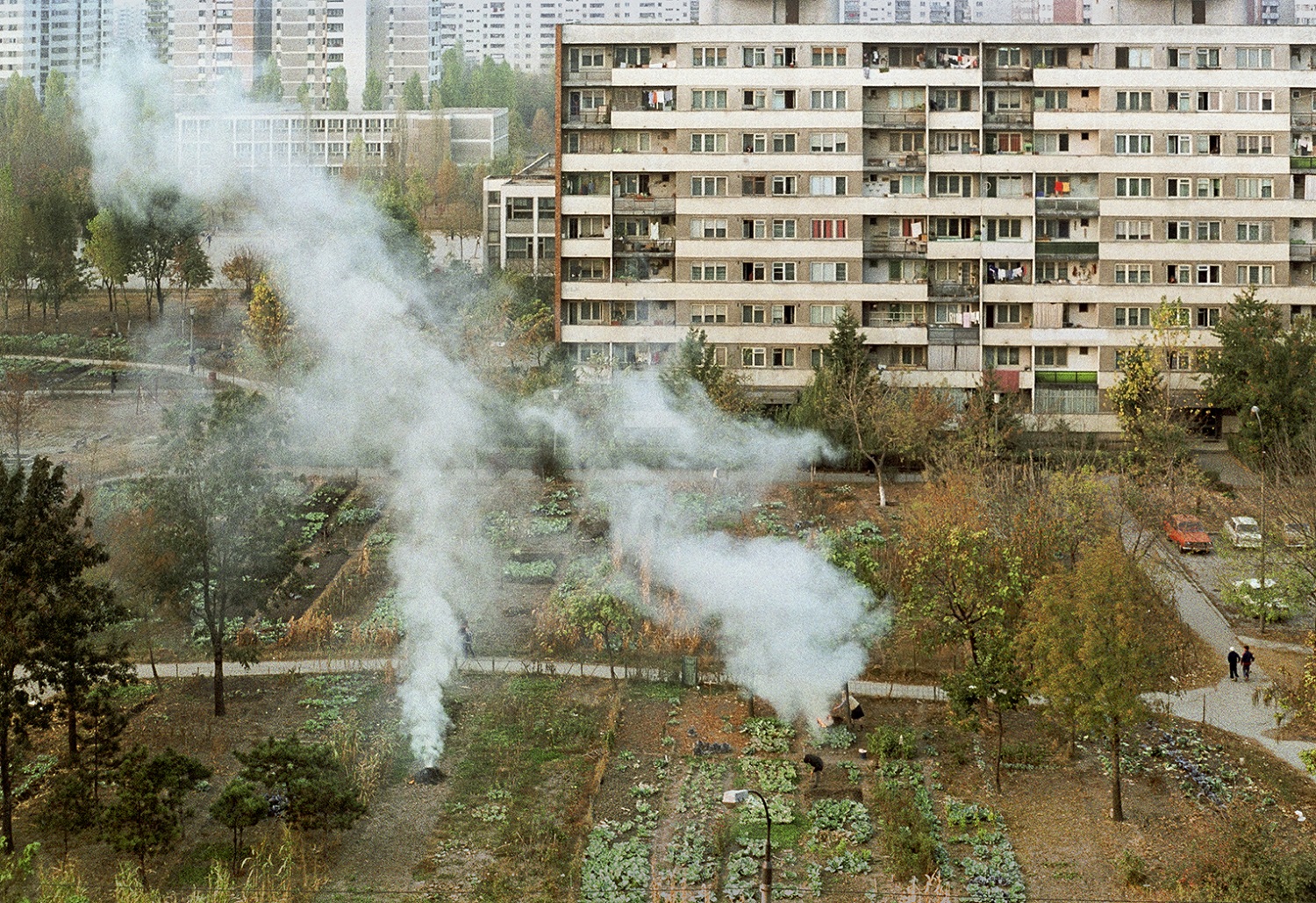 Foto: Dan Dinescu (1984)
