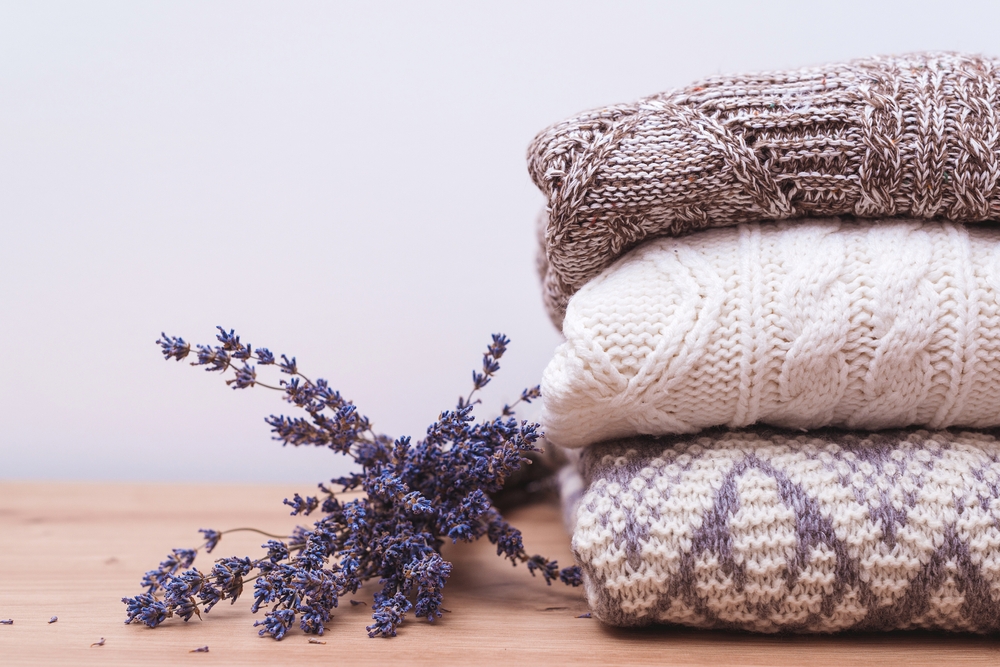 Lavanda vicino ai vestiti contro la falena