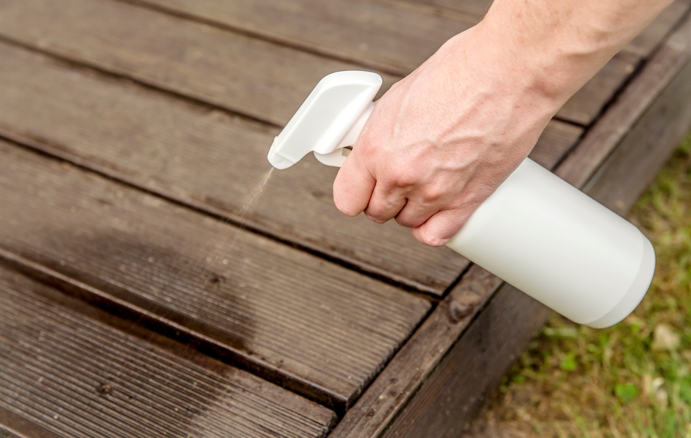 Soluzione della casa formiche: soluzione del pavimento in legno contro le formiche spray a mano da contenitori bianchi.