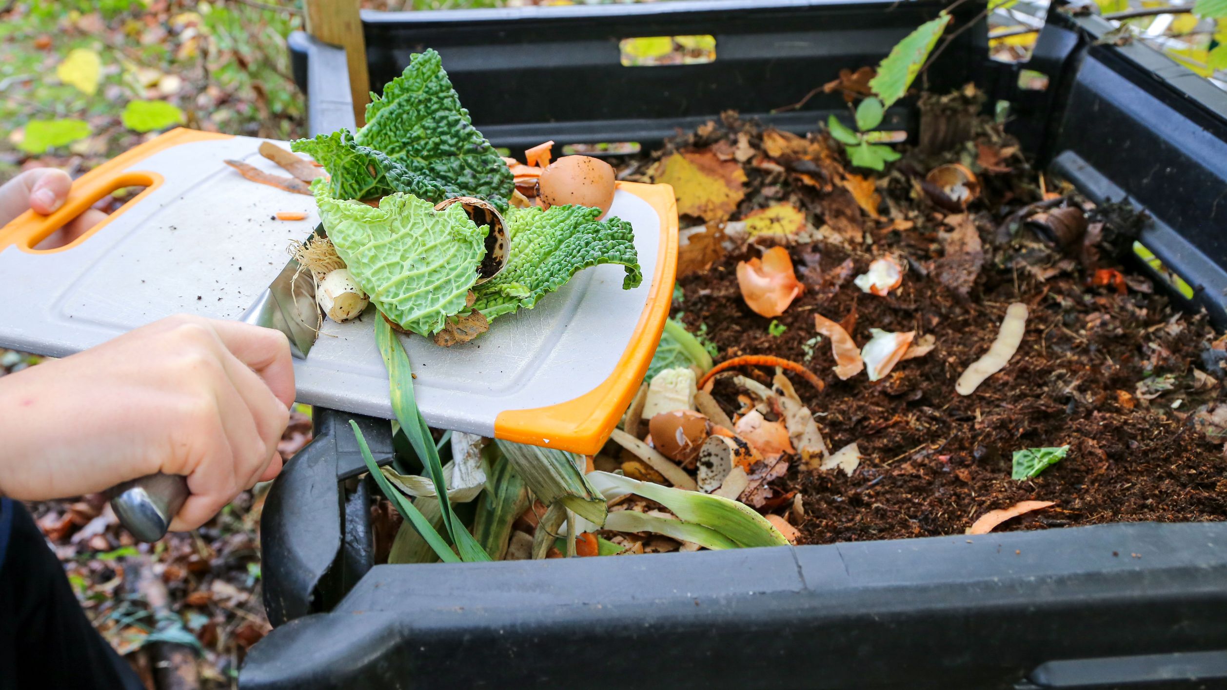 Come compost