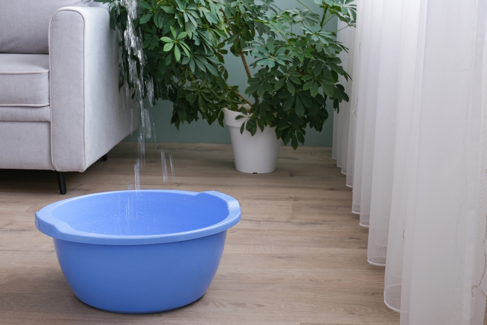 Acqua che scorre dal vicino blu ape