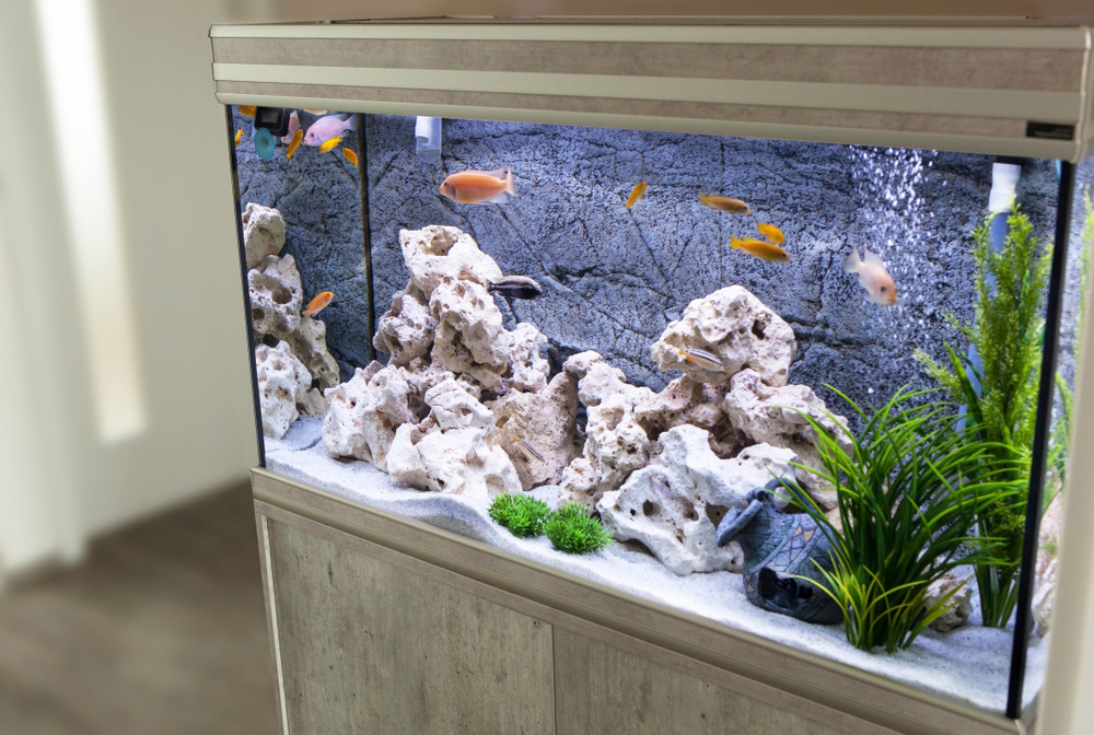 Acquario per idee per mobili