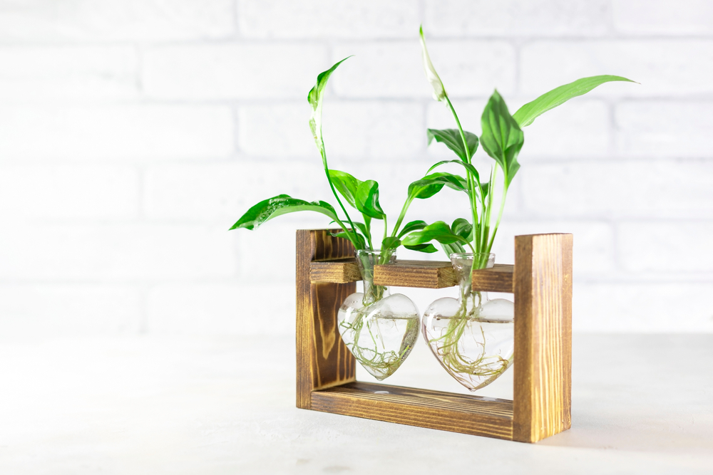 Fiori che crescono sott'acqua: due piccole piante, un barattolo e un barattolo rotondo di pace in un supporto in legno naturale su una superficie bianca.
